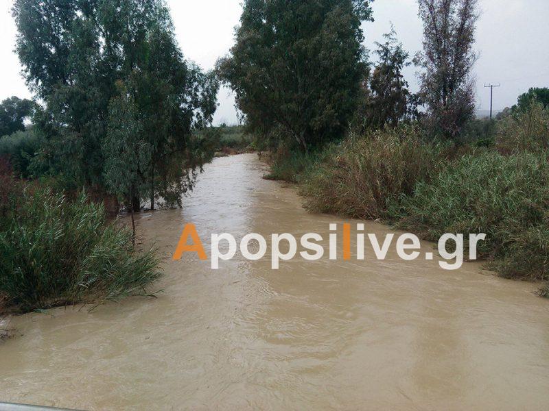 Δράση «Μείωσης της ρύπανσης νερού από γεωργική δραστηριότητα»