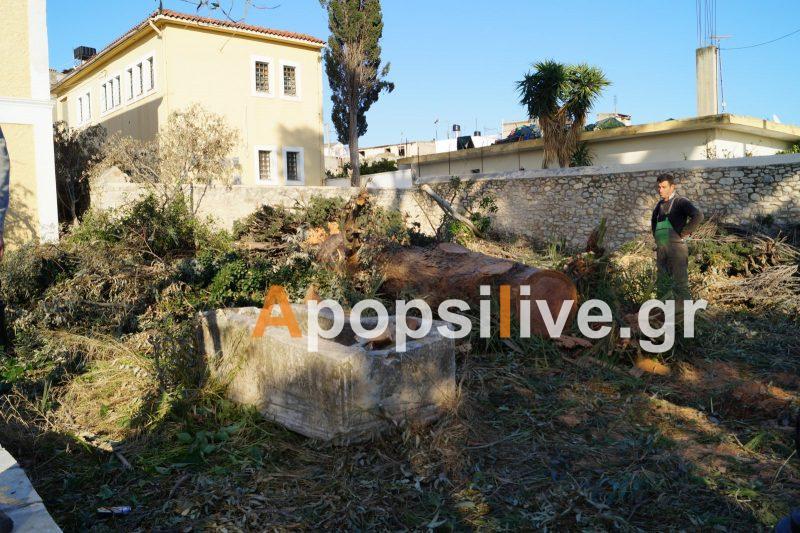 Χωρίς την έγκριση της Αρχαιολογίας κλαδεύτηκαν τα αιωνόβια δέντρα στο Επισκοπείο των Αγίων Δέκα